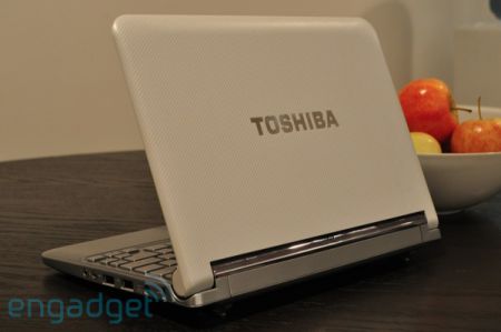 Toshiba Mini NB305 examination