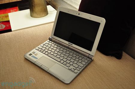 Toshiba Mini NB305 examination