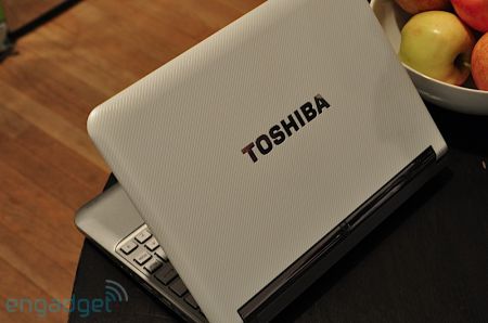 Toshiba Mini NB305 examination