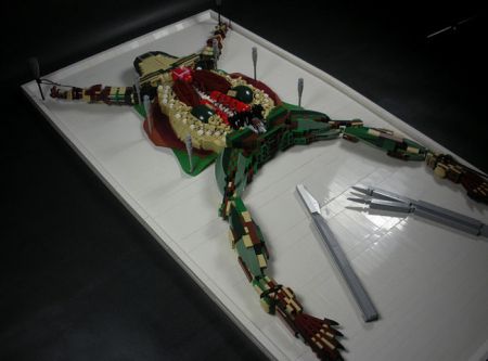 Lego Dissected Frog is Gross as well as Cool
